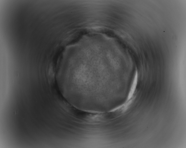 X0000094190186200711161755