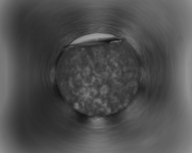 X0000094190189200711161755