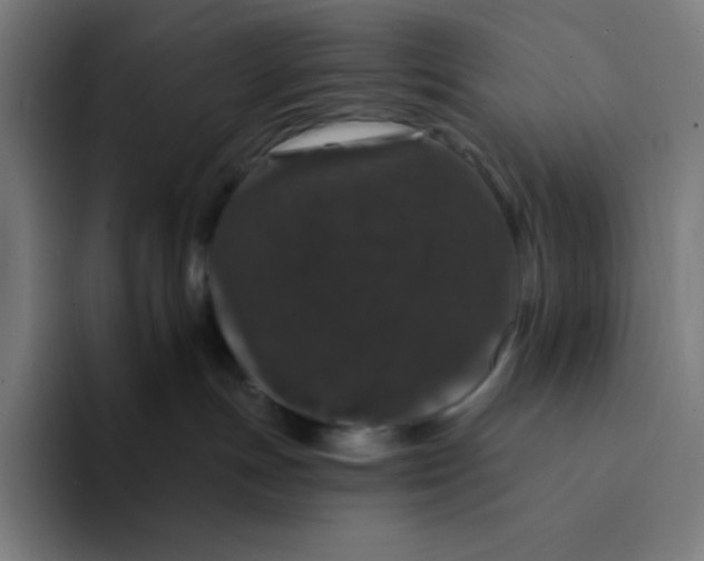 X0000094190191200711161755