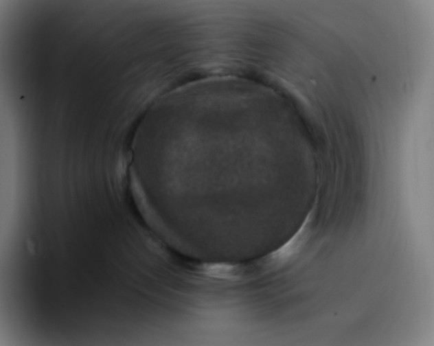 X0000094190192200711161755