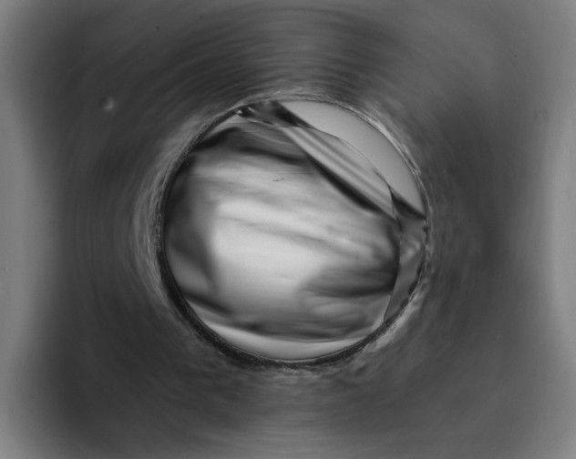 X0000094190193200711161755