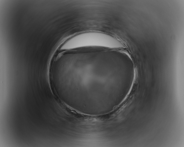 X0000094190195200711161755