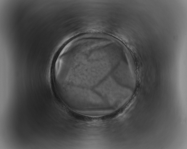 X0000094190196200711161755