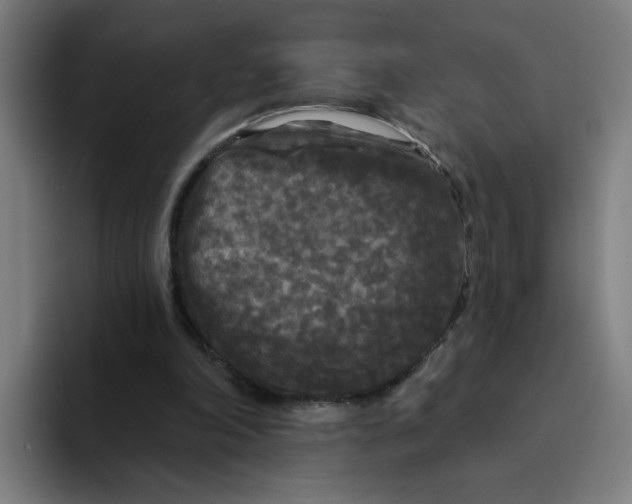 X0000094190198200711161755