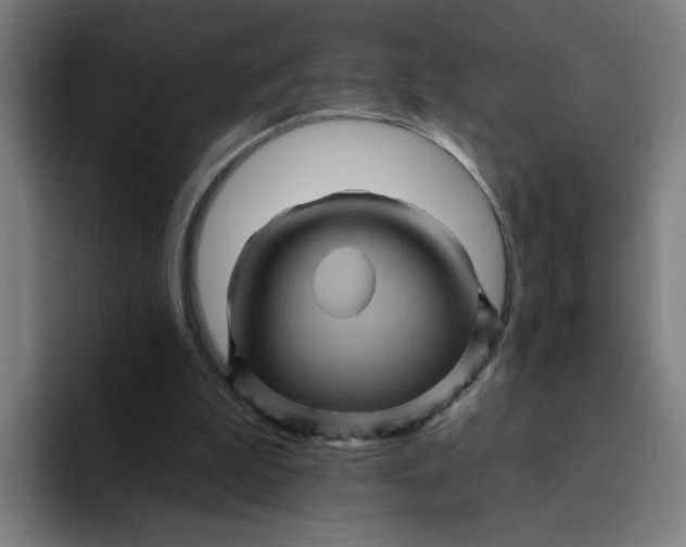 X0000094190199200711161755