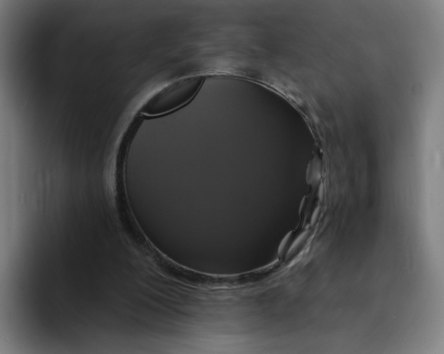 X0000094190200200711161755