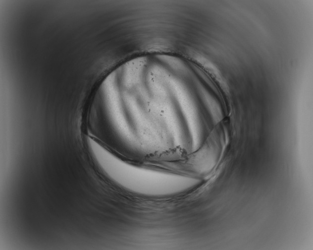 X0000094190201200711161755