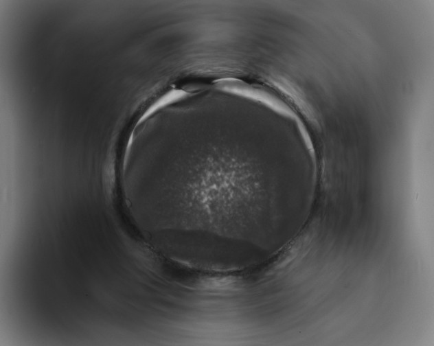 X0000094190202200711161755