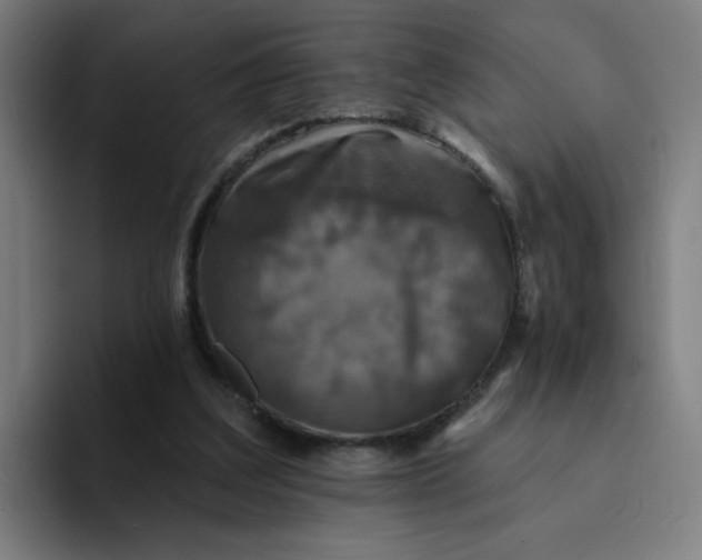 X0000094190203200711161755