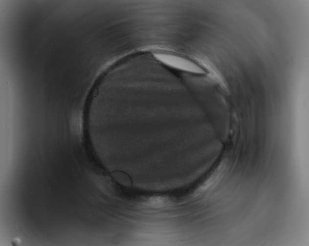 X0000094190204200711161755