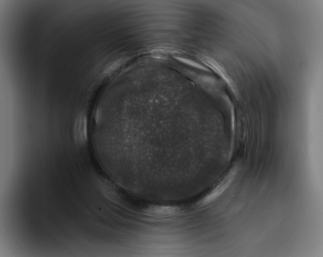 X0000094190205200711161755