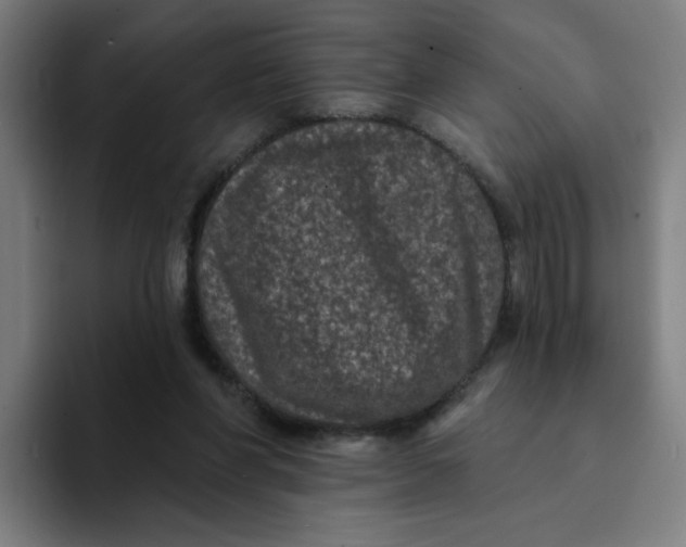 X0000094190206200711161755