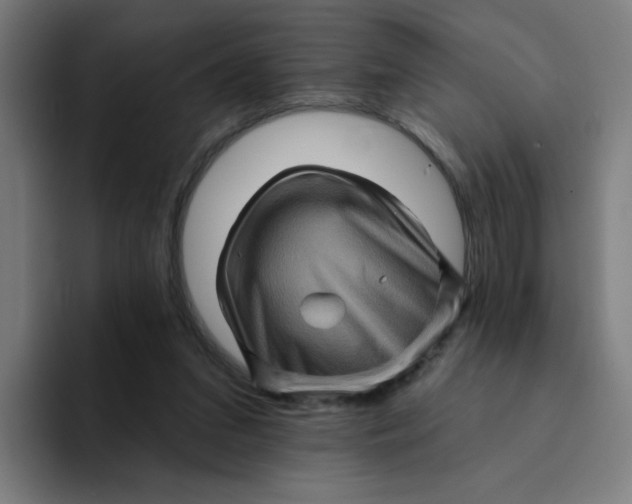 X0000094190207200711161755