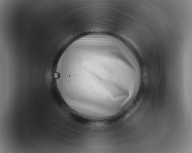 X0000094190208200711161755