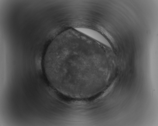 X0000094190209200711161755