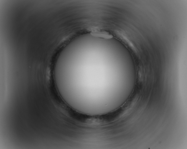 X0000094190211200711161755