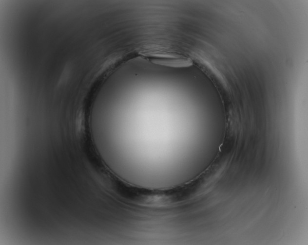 X0000094190212200711161755