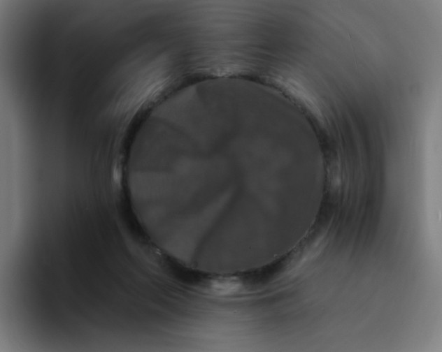 X0000094190214200711161755