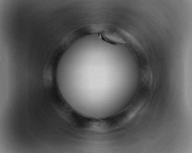 X0000094190215200711161755