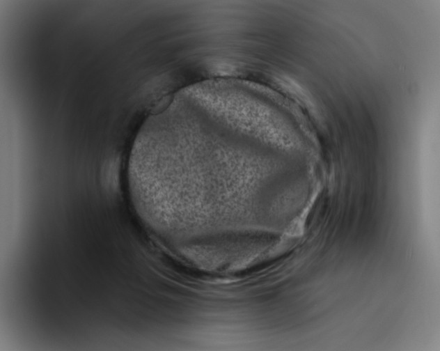 X0000094190217200711161755