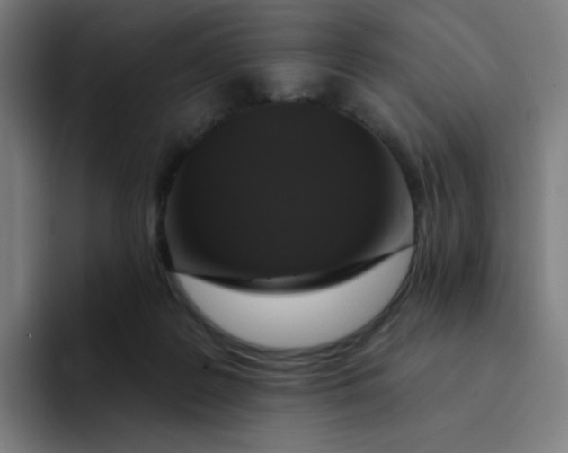 X0000094190219200711161755