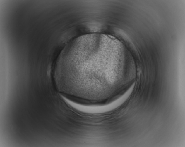 X0000094190221200711161754