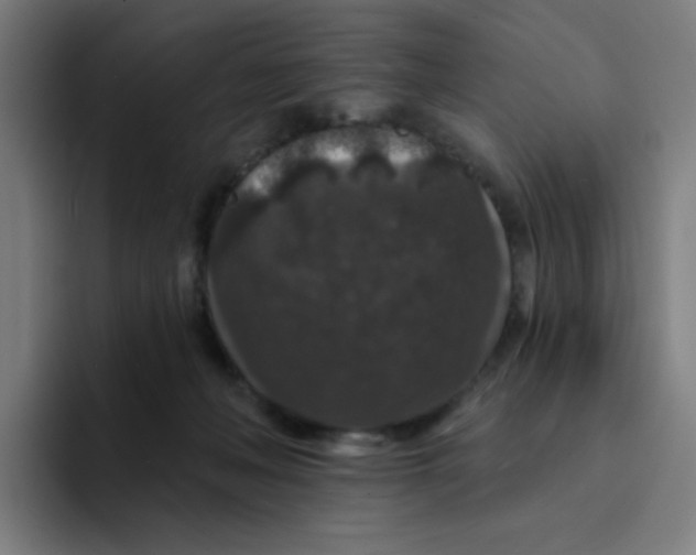 X0000094190222200711161754