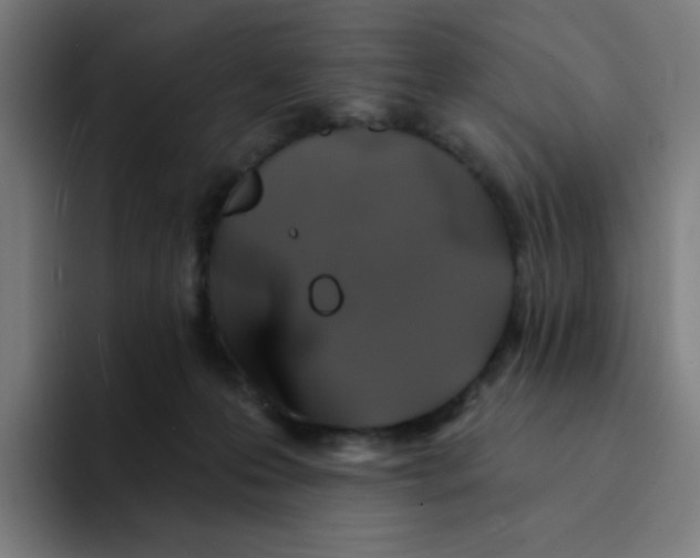 X0000094190223200711161754