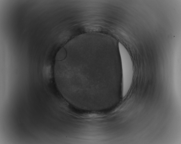 X0000094190224200711161754