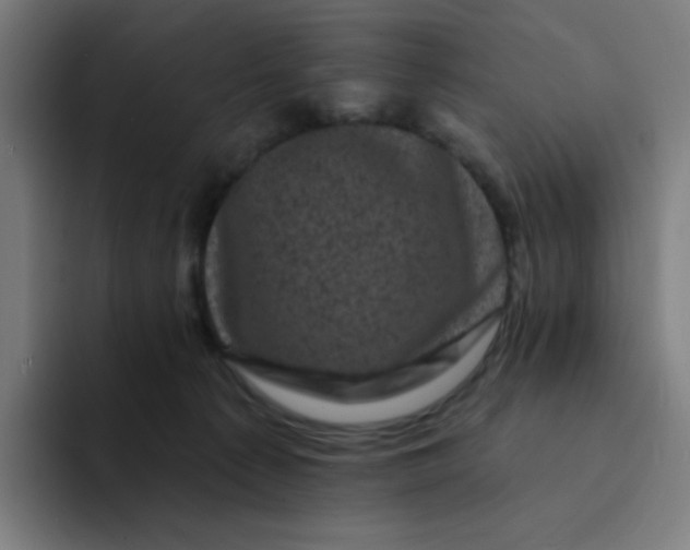 X0000094190225200711161754