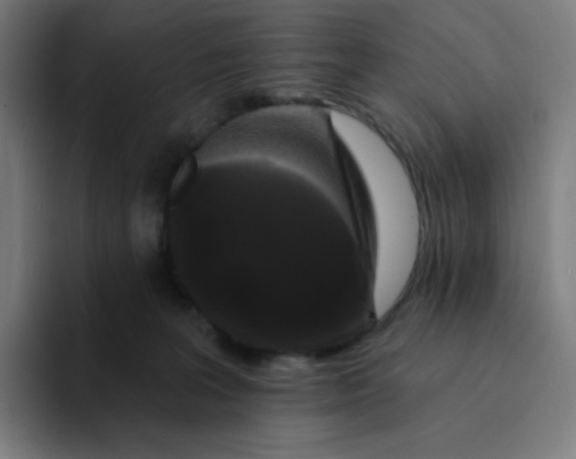 X0000094190227200711161754