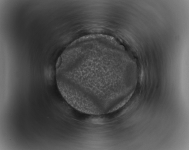 X0000094190228200711161754