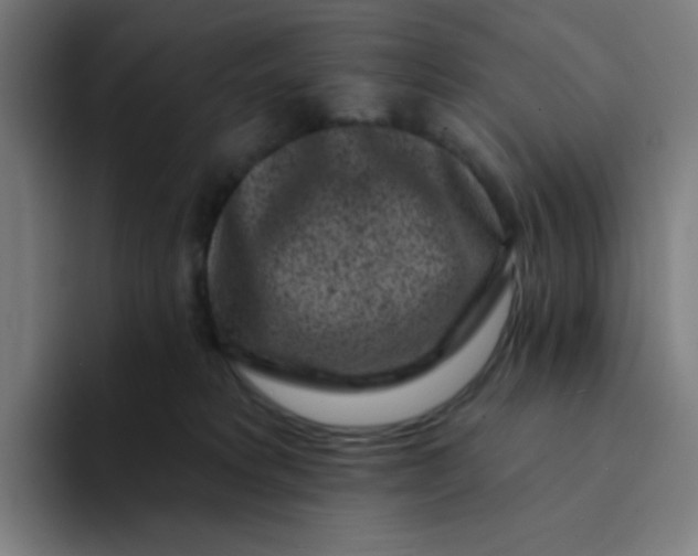 X0000094190229200711161754