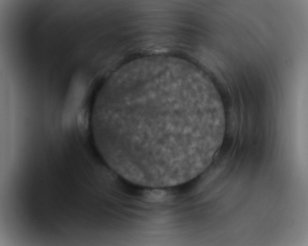 X0000094190230200711161754