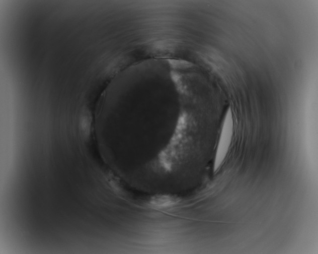 X0000094190231200711161754