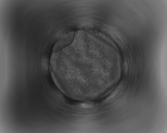 X0000094190232200711161754