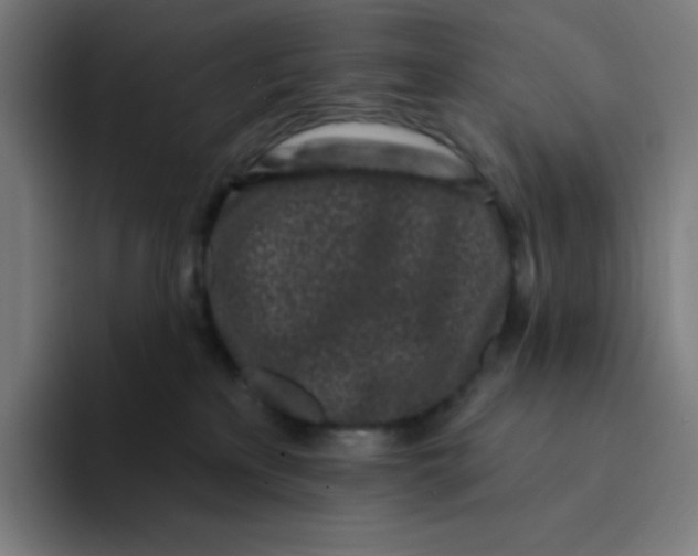 X0000094190233200711161754