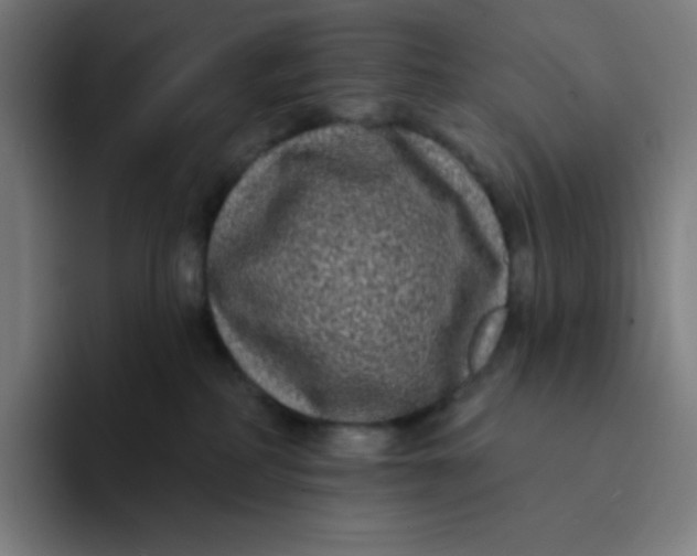 X0000094190234200711161754