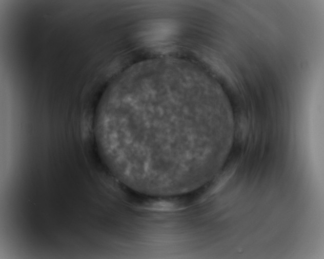 X0000094190236200711161754