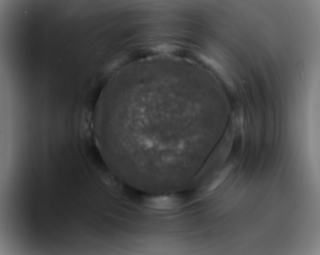 X0000094190237200711161754