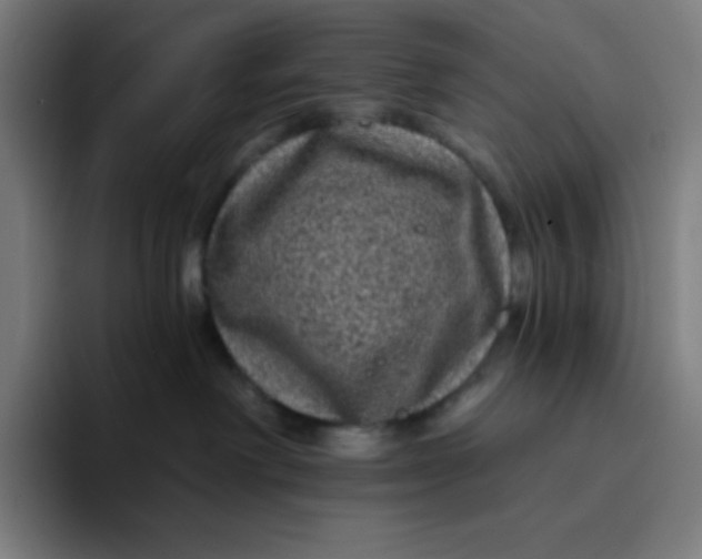 X0000094190238200711161754