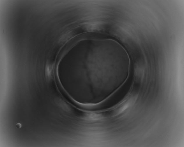 X0000094190239200711161754