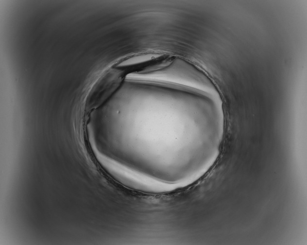 X0000094190241200711161754