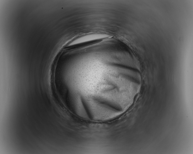 X0000094190242200711161754