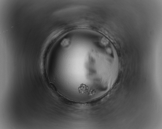 X0000094190245200711161754