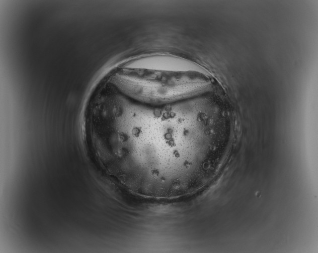 X0000094190246200711161754