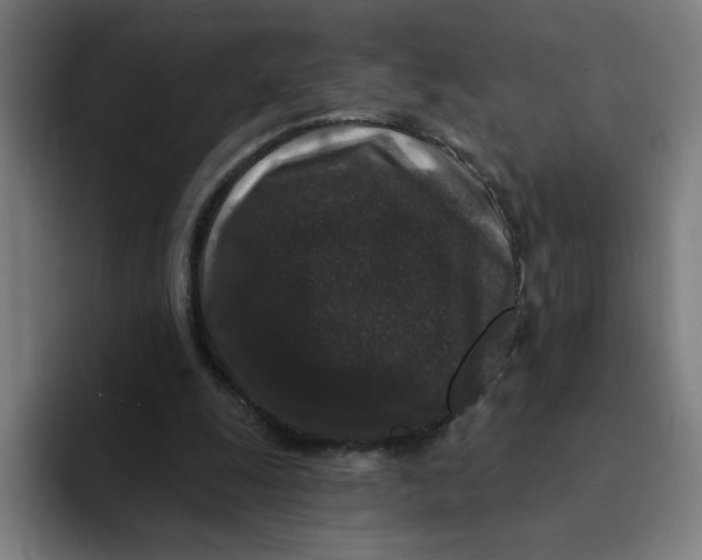 X0000094190247200711161754