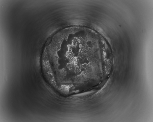 X0000094190249200711161754