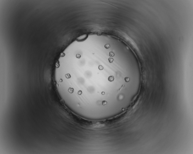 X0000094190257200711161754