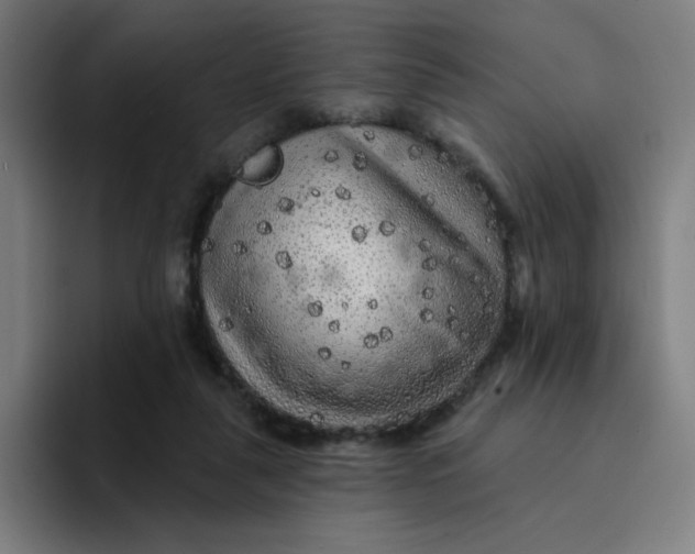 X0000094190259200711161754